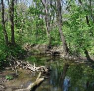 Русько-Орлівка з panoramio.com