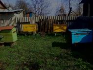 Лемеші - Останні фото