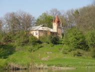 Шершні з panoramio.com