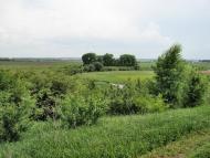 Голосків з panoramio.com