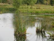 Лютенські Будища з panoramio.com