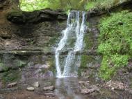 Скоморохи з panoramio.com