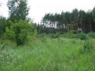 Піщанка з panoramio.com