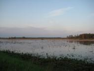 Кузьки з panoramio.com