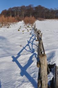 Стоки з panoramio.com