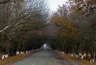 Вільне з panoramio.com