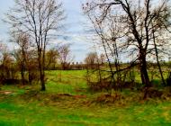 Насташка - Останні фото