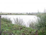 Рошнів з panoramio.com