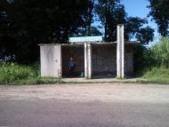 Блищиводи - Останні фото