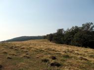 Вучкове з panoramio.com