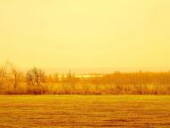 Урожайное - Последние фото