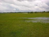 Бузаки з panoramio.com