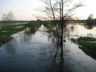 Кузьки з panoramio.com