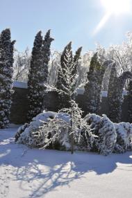 Крехів з panoramio.com