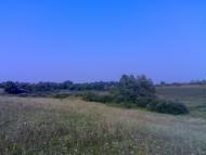 Мала Березанка - Останні фото