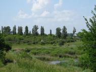 Мала Березанка з panoramio.com