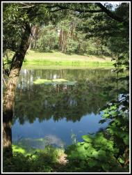 Скоморохи з panoramio.com