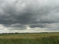 Незвір з panoramio.com