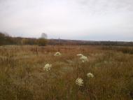 Погорілівка з panoramio.com