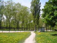 Глухівці з panoramio.com