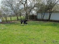 Дешки з panoramio.com