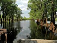 Погорілівка з panoramio.com