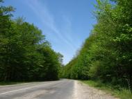 Суржинці з panoramio.com