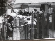 Велика Шапківка з panoramio.com