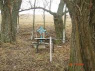 Побірка - Останні фото