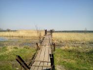 Прелесне з panoramio.com