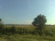 Зелений Гай - Останні фото