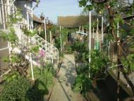 Делень - Останні фото