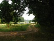 Чайки з panoramio.com