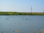 Кустин з panoramio.com