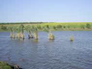 Руськоіванівка з panoramio.com