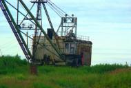 Ліс з panoramio.com