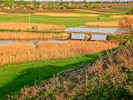 Андріївка з panoramio.com