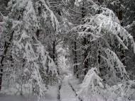 Яворівка з panoramio.com