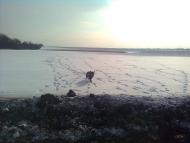 Приовражне з panoramio.com