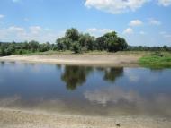 Березоточа з panoramio.com