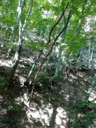 Польове з panoramio.com