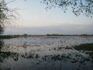 Кузьки з panoramio.com