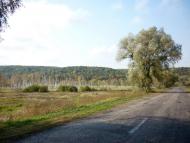 Будо-Орловецька з panoramio.com