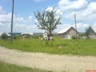 Вістова - Останні фото