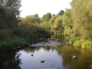 Нова Романівка з panoramio.com