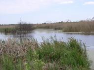 Ватажкове з panoramio.com