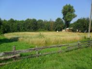 Зелениця з panoramio.com