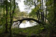 Норцівка з panoramio.com