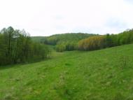 Стрижавка - Останні фото