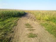 Щаснівка з panoramio.com